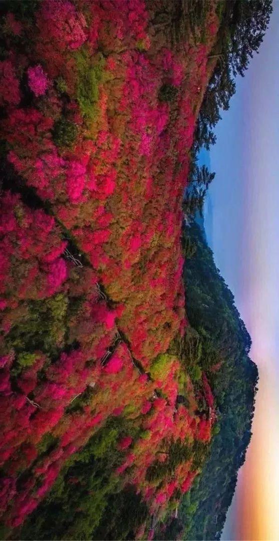 湖北，主要靠气质