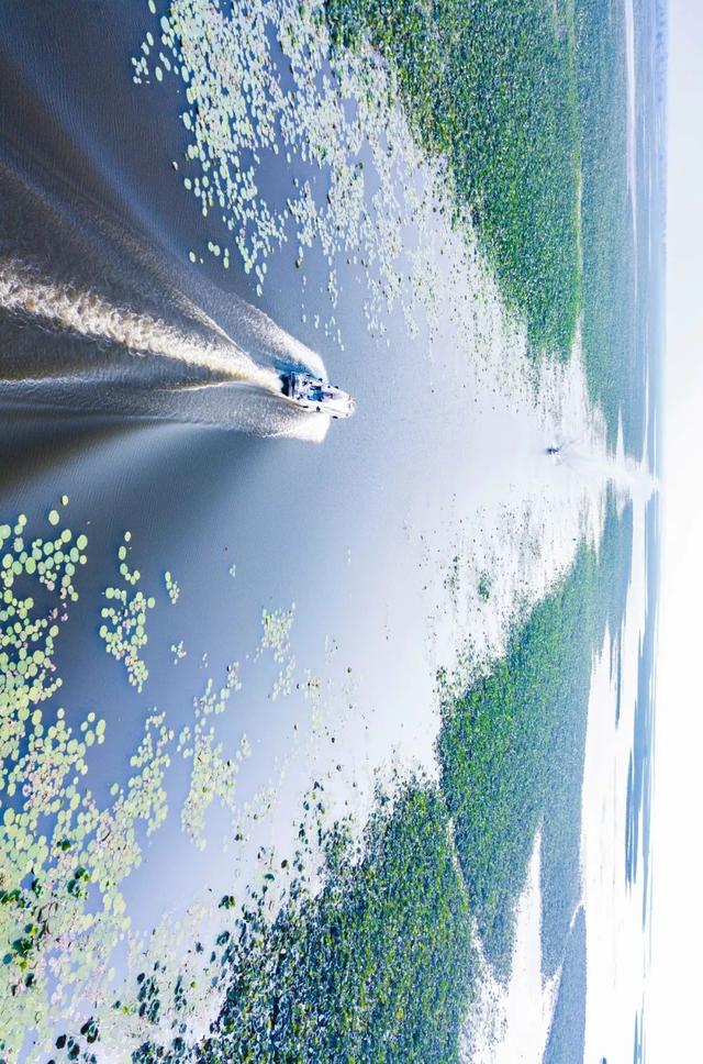 湖北，主要靠气质