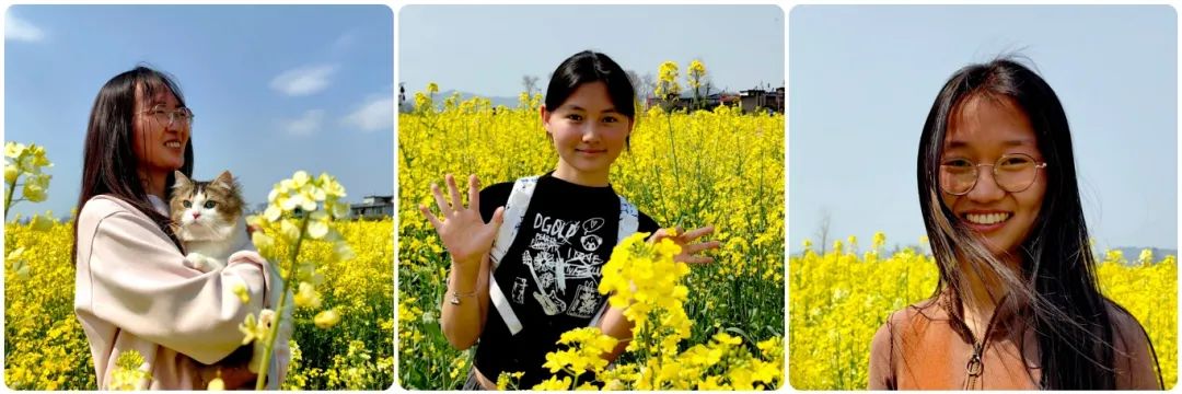 油菜花开-陆运良 摄.jpg