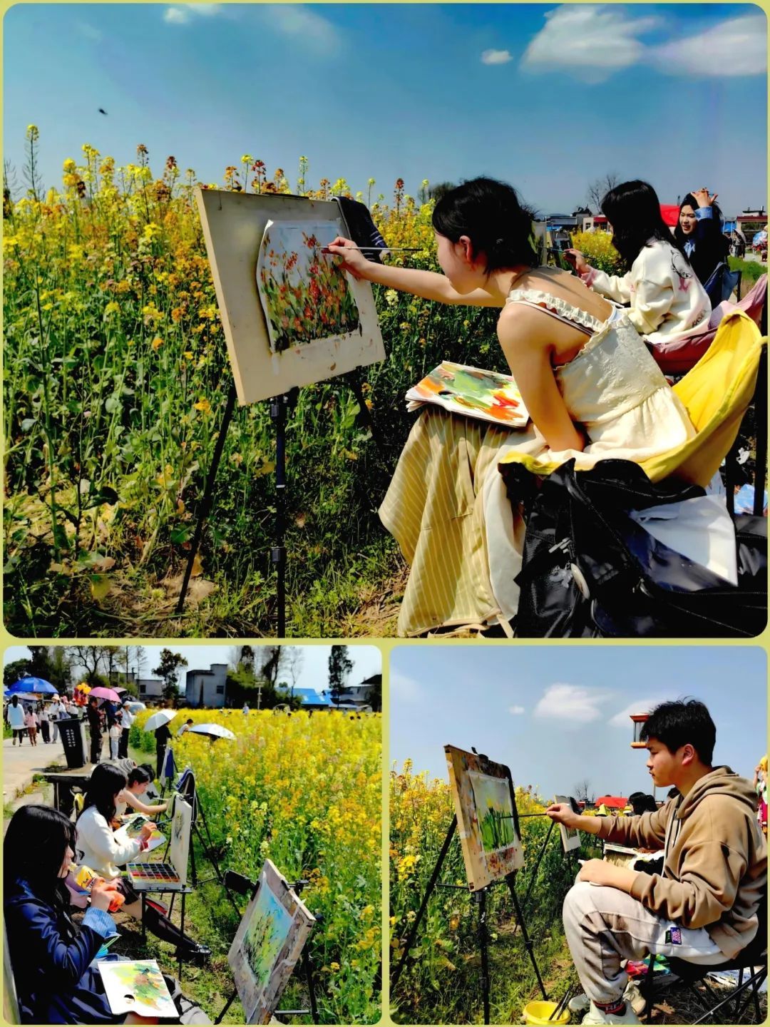 油菜花海好写生.jpg