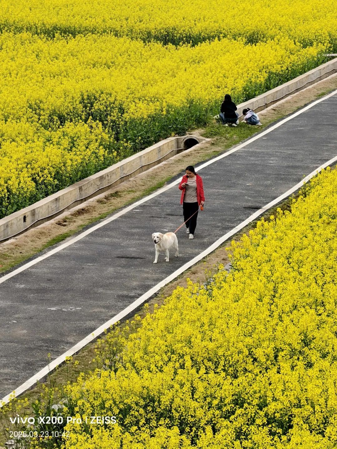 闲情漫染春光里，一步花阴一步柔。夏峰 摄.jpg