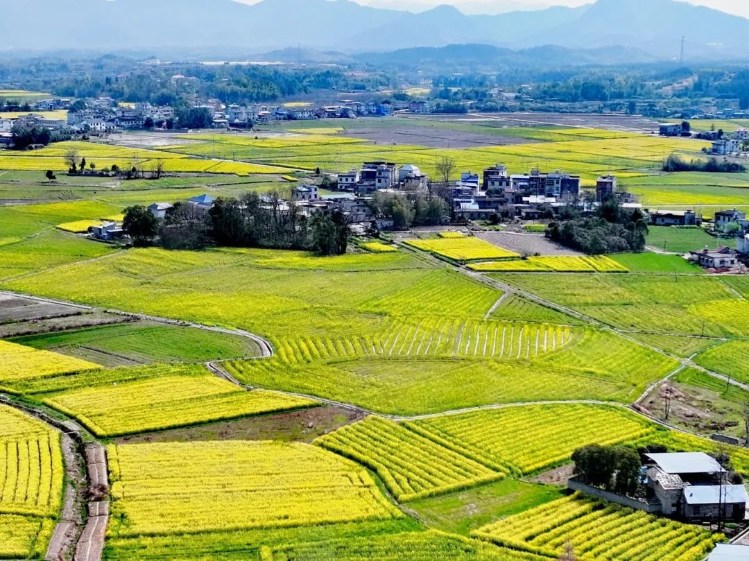 远山含黛添诗韵，一幅春图入画章。龙银娇 摄.jpg